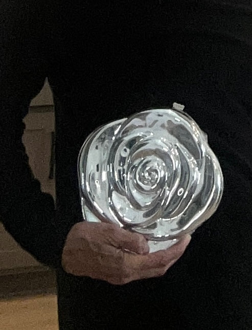 Silver Camille Evening Bag